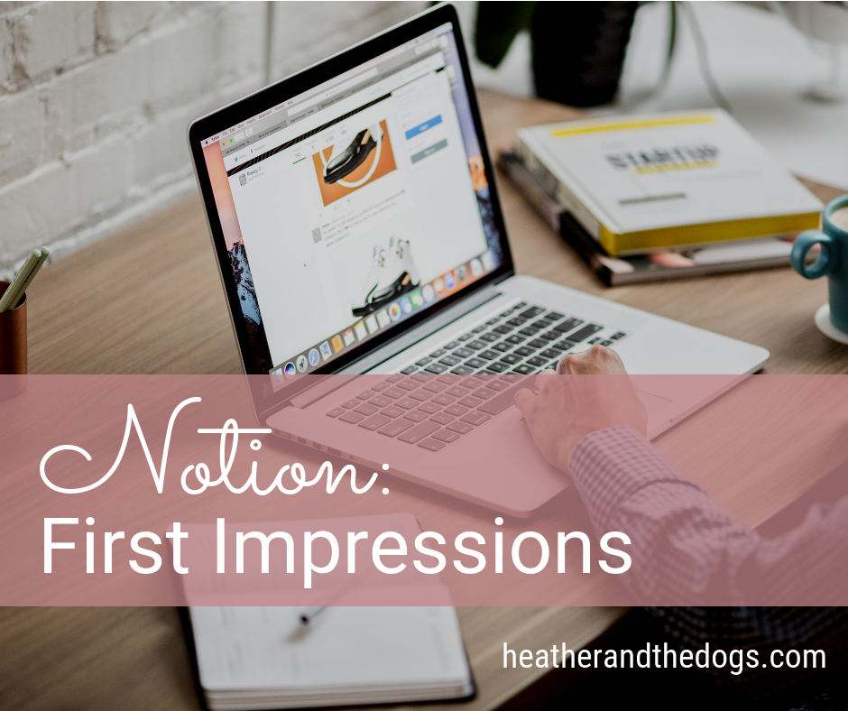 Notion First Impressions
